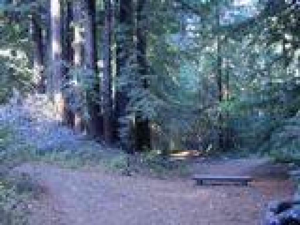 Lake Trail