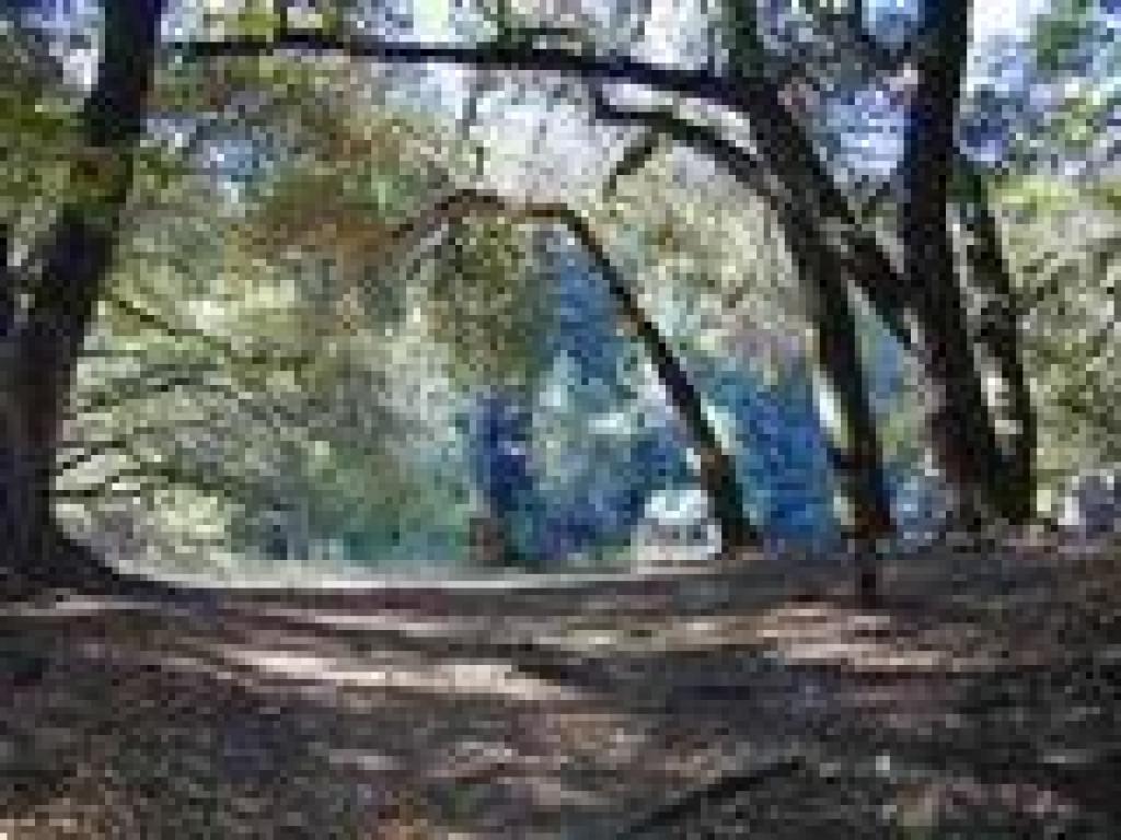 Near the lake