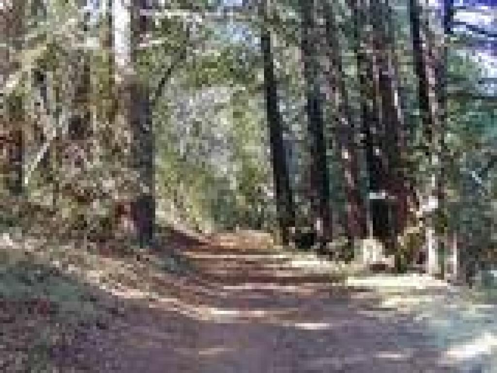 Climbing on Mountain Trail