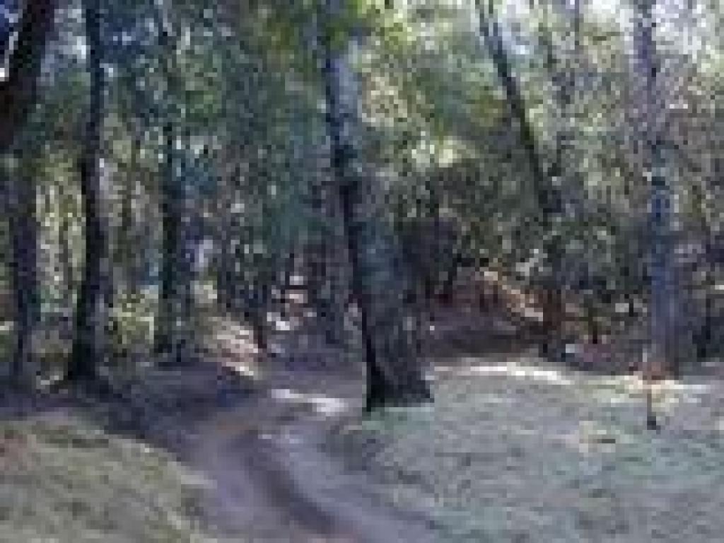 Junction