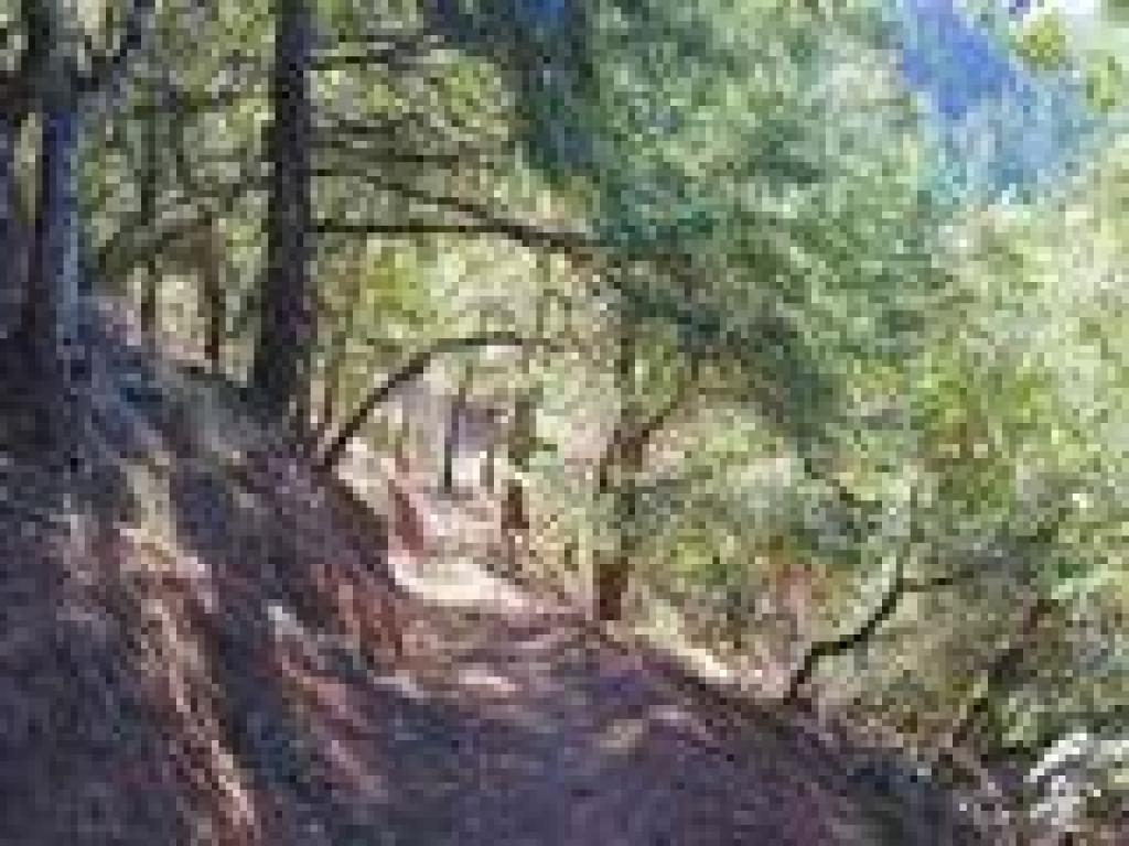 Descending