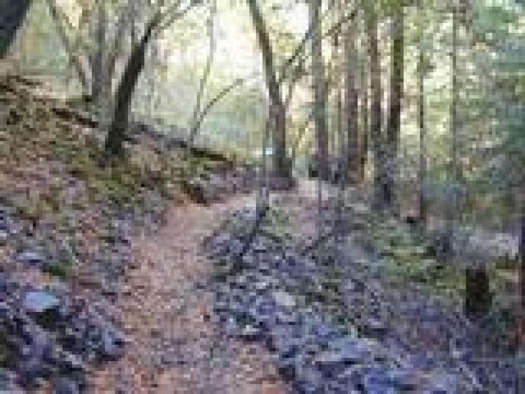 Rocky stretch
