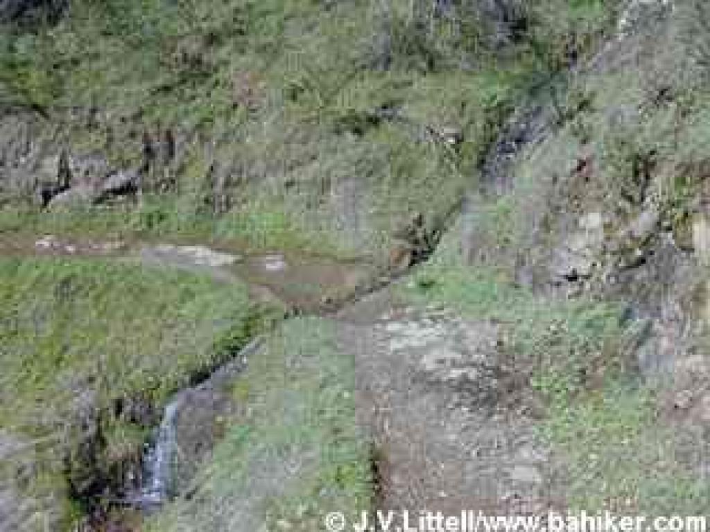 Waterfall on King Mountain Loop Trail