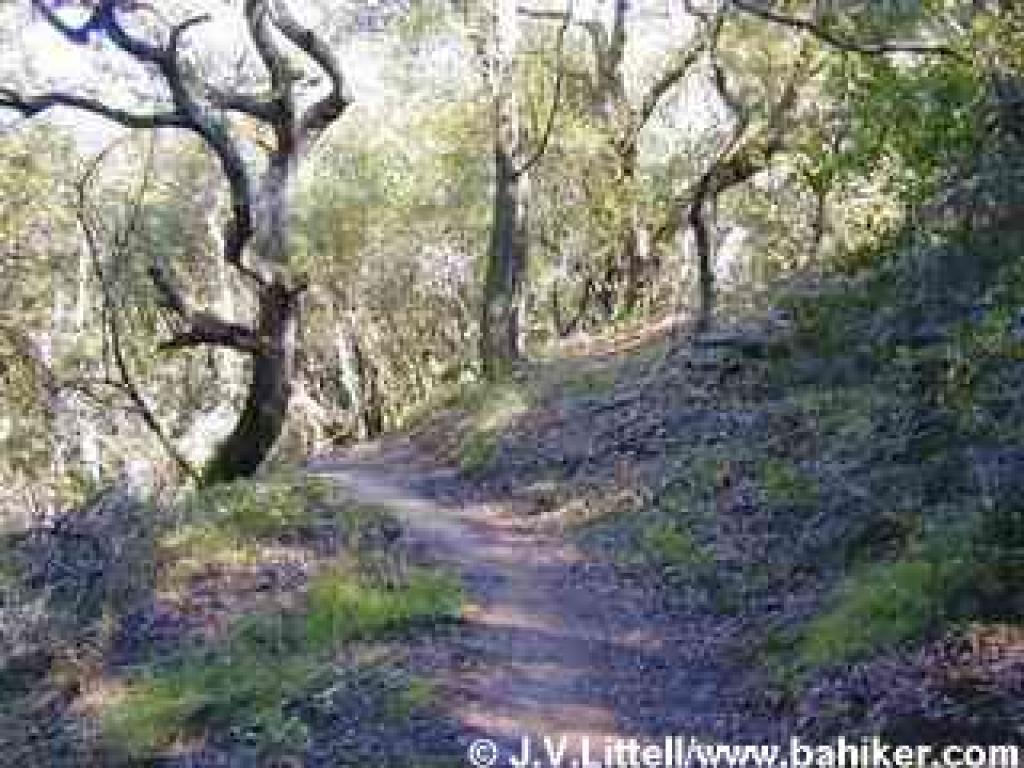 King Mountain Loop Trail