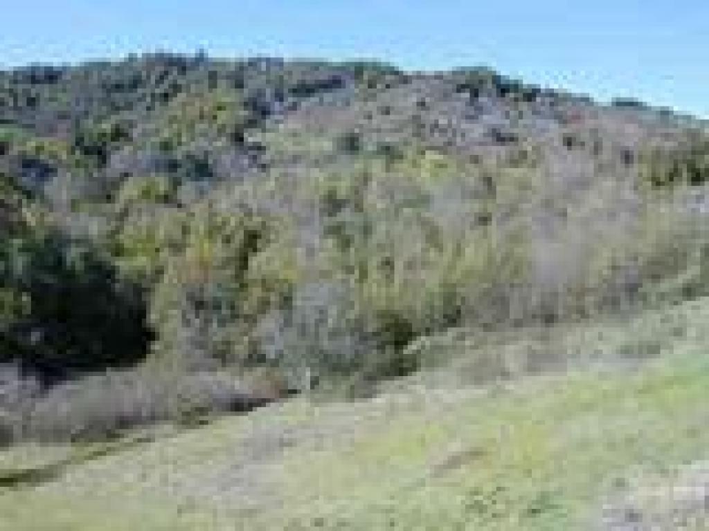 View uphill