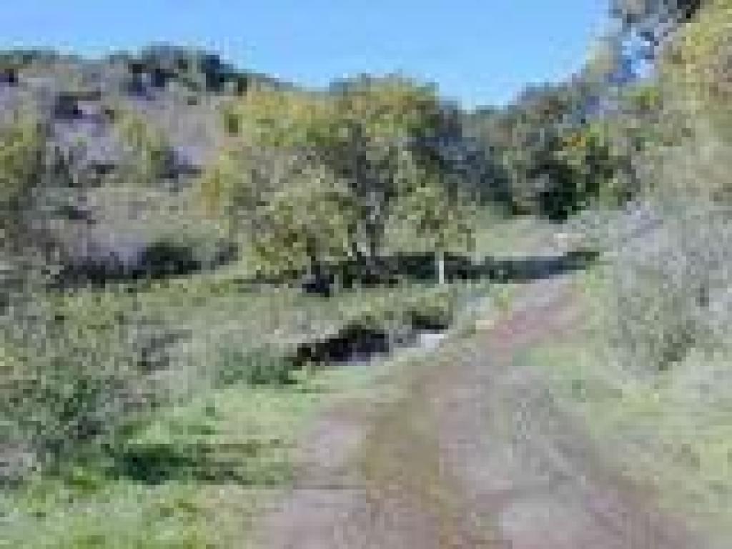 Trail curves left