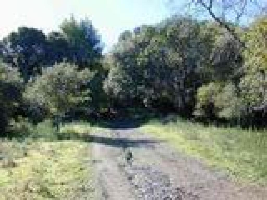 Approaching junction