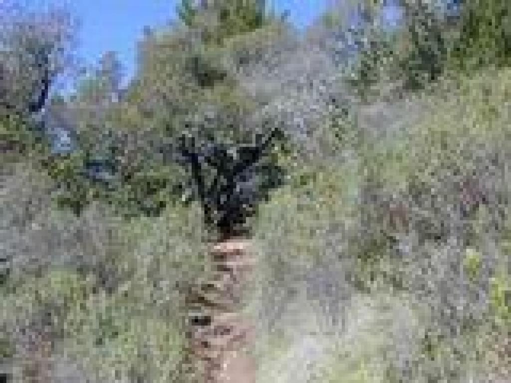 Eroded