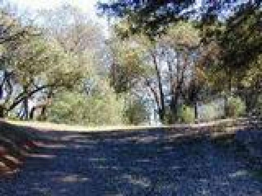 Trail weaves uphill