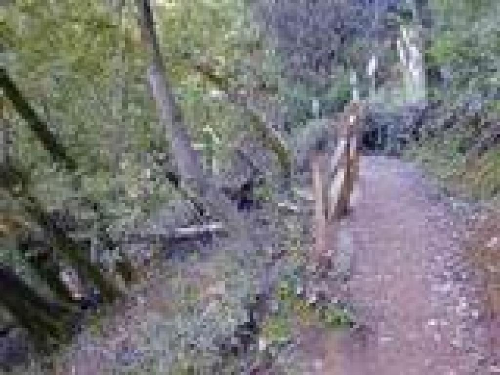 Switchback