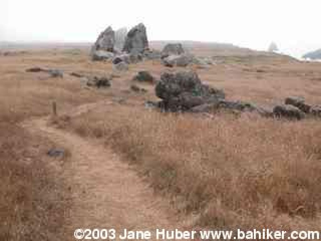 Rock outcrop