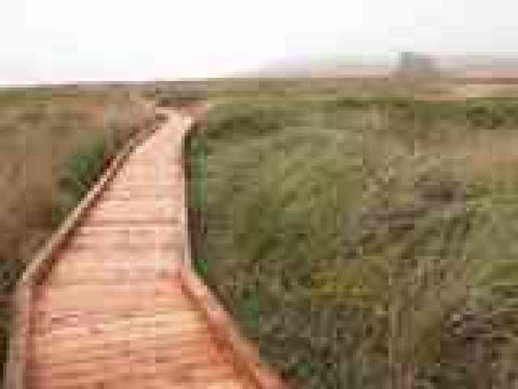 Boardwalk