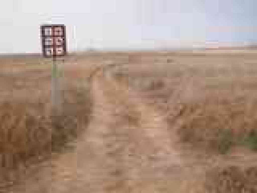 Kortum Trail