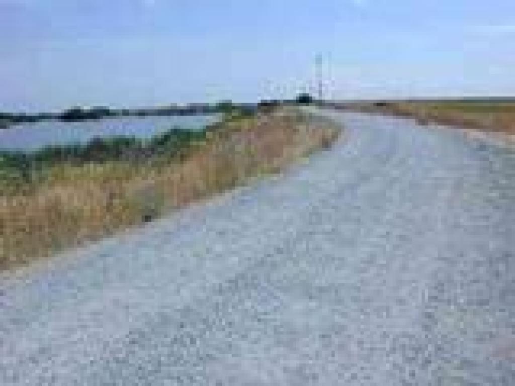 Trail