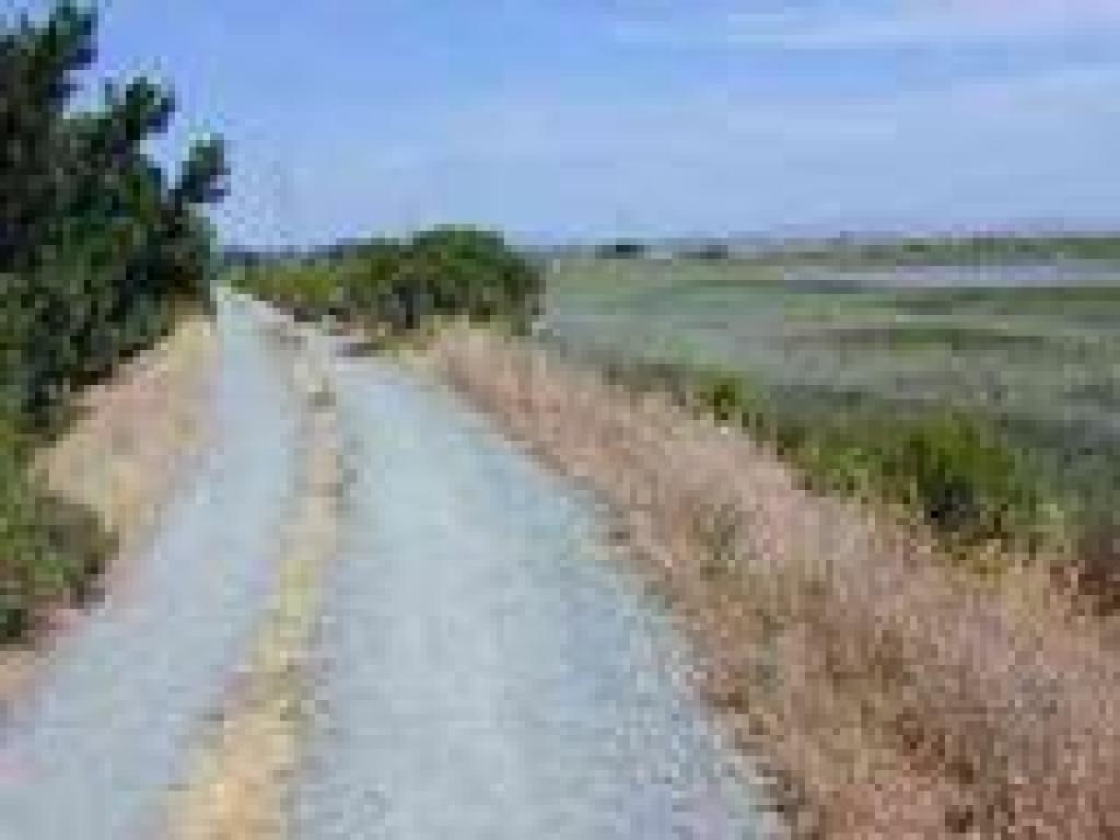 Trail along the marsh