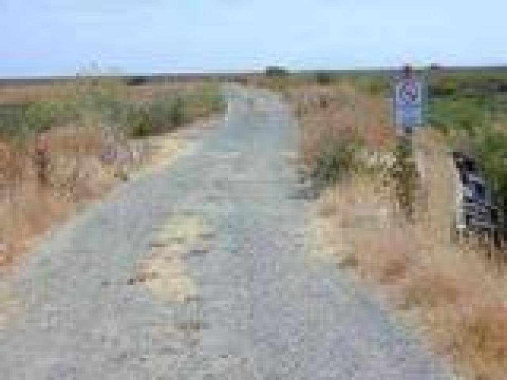 Trail