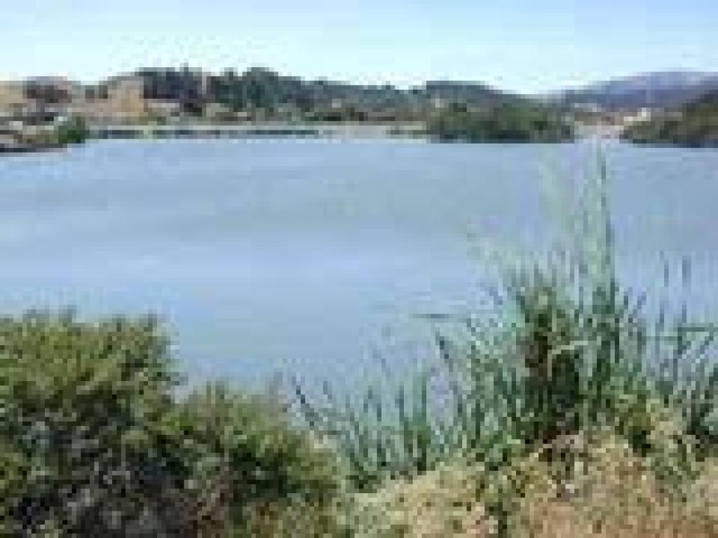 Pond