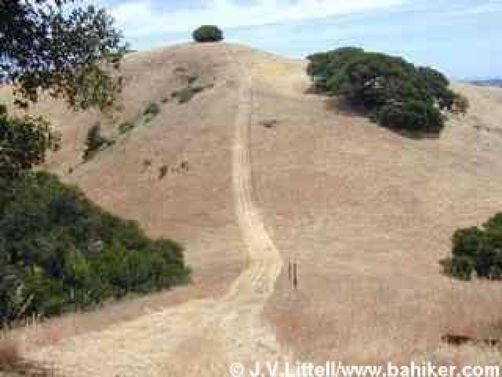 Steep descent and ascent on Verissimo Hills Trail