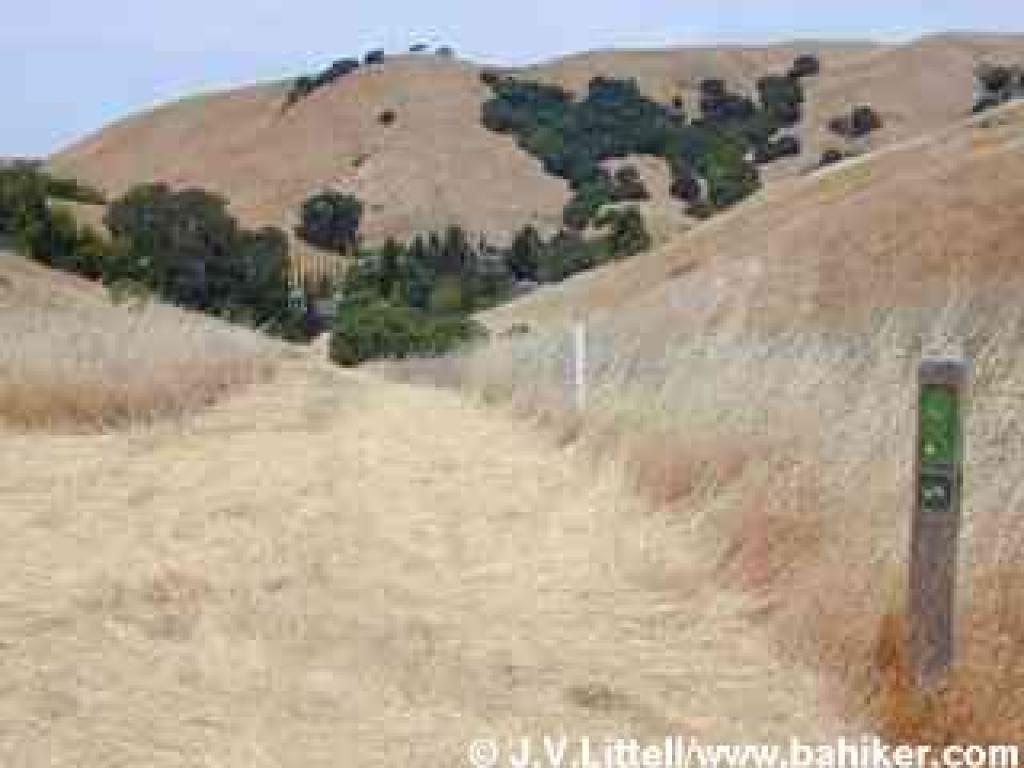Sanchez Fire Road