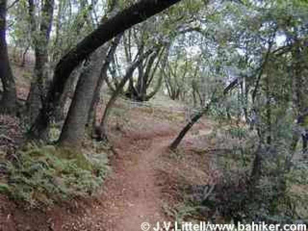 Little Hills Trail