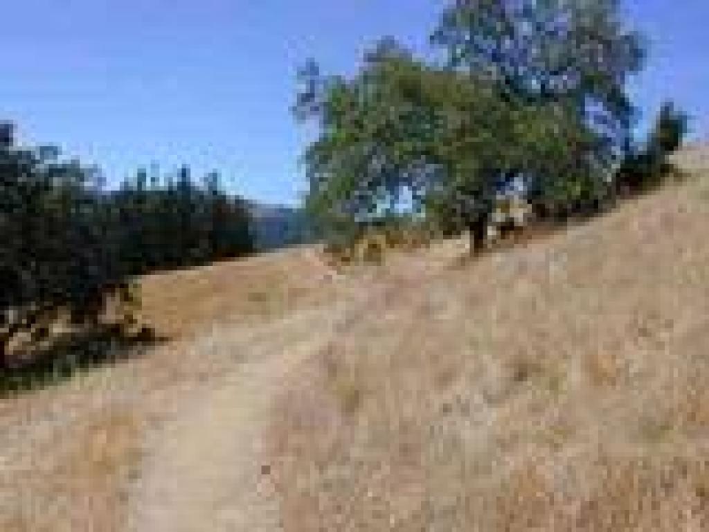 Into grassland
