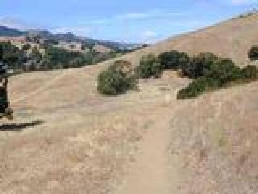 Little Mountain Trail