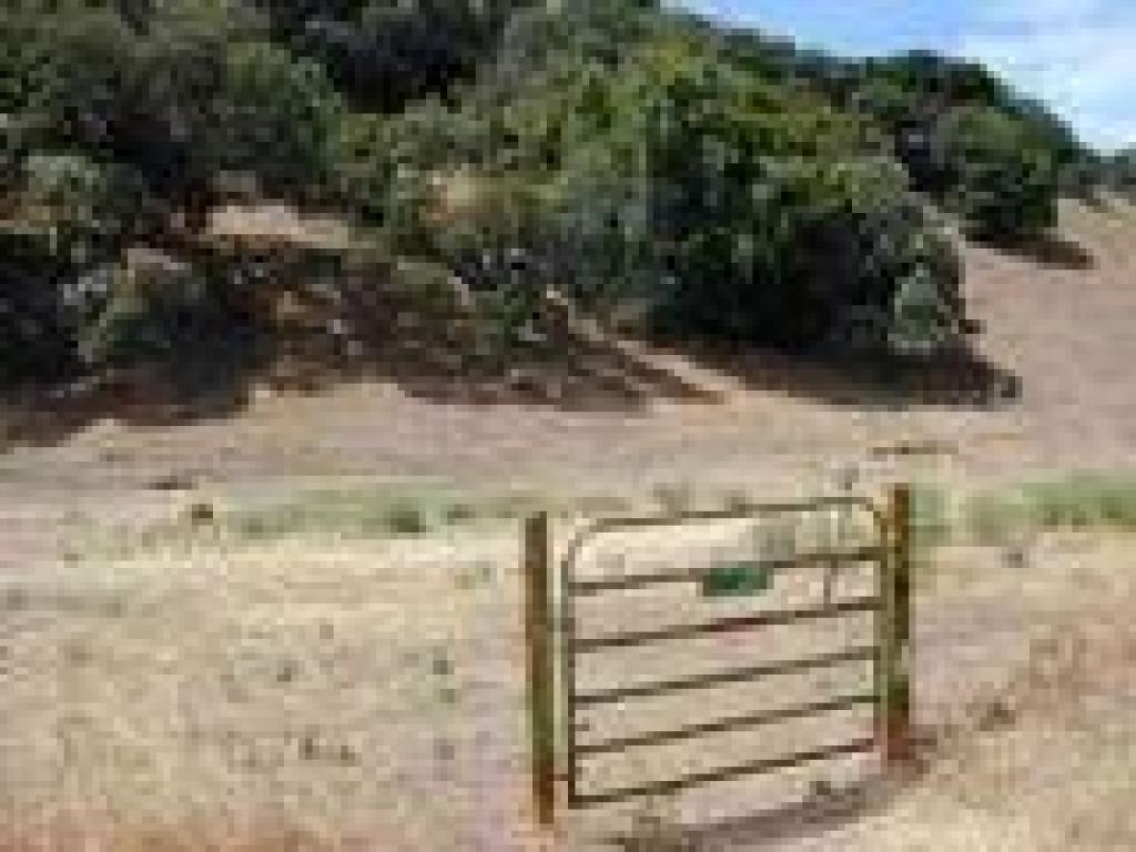 Cattle gate