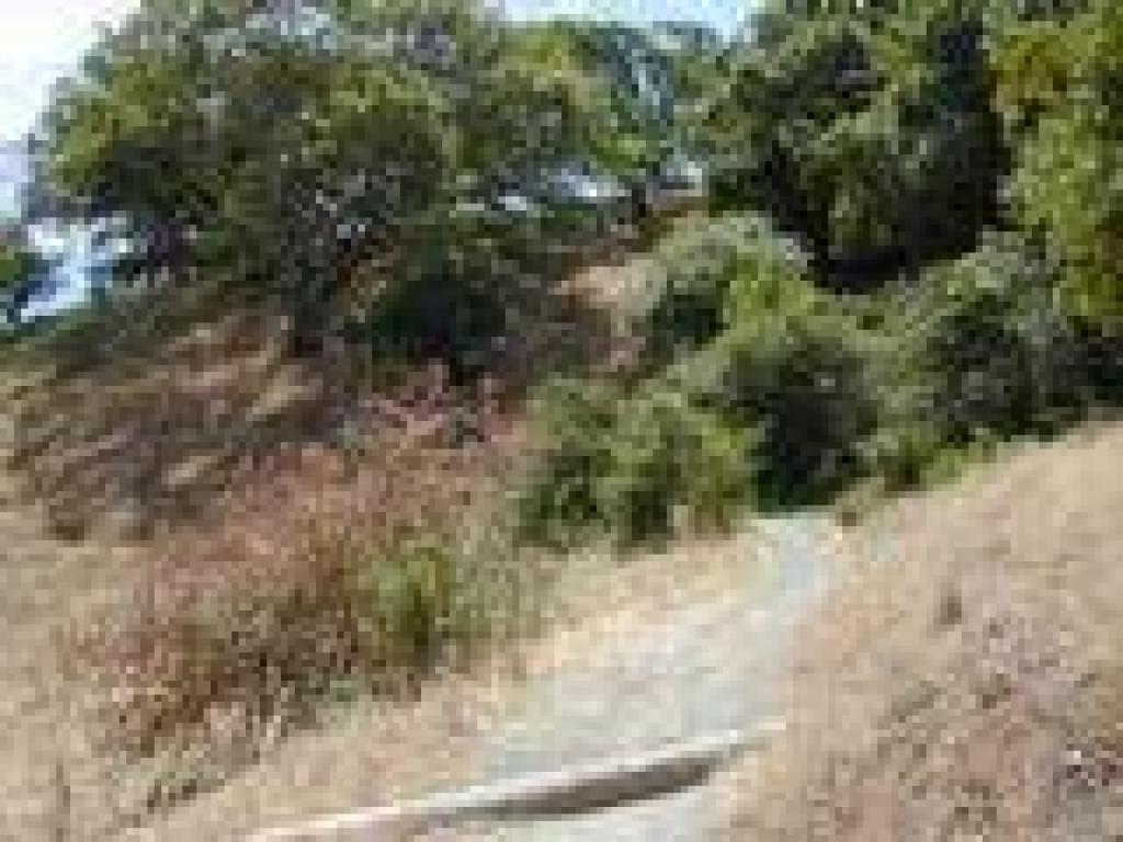Stafford Lake Trail