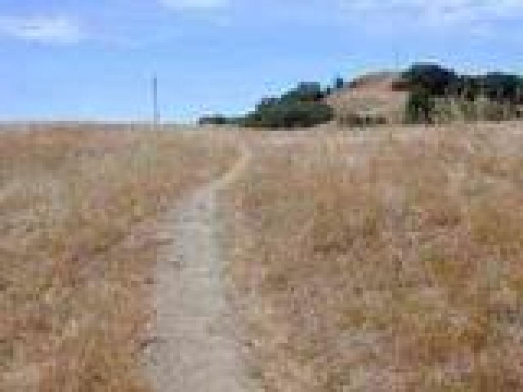 Through grassland