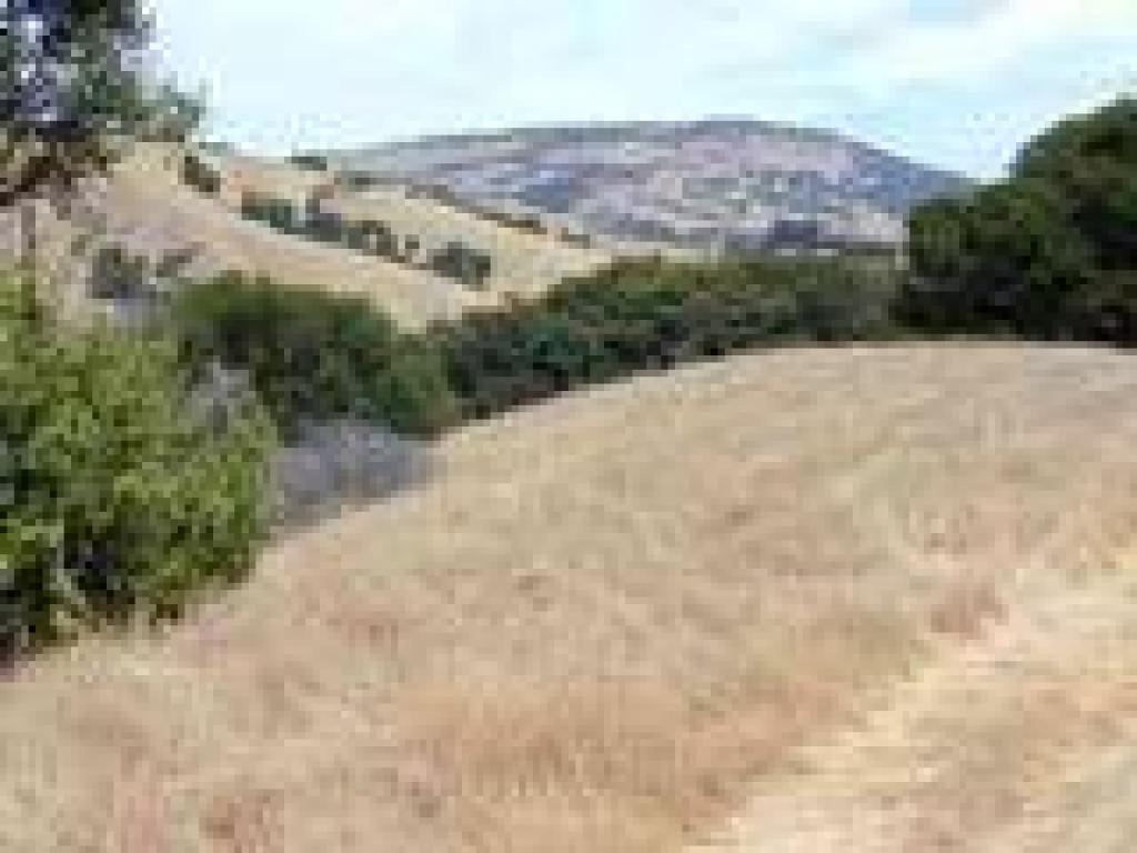 View north to Mount Burdell