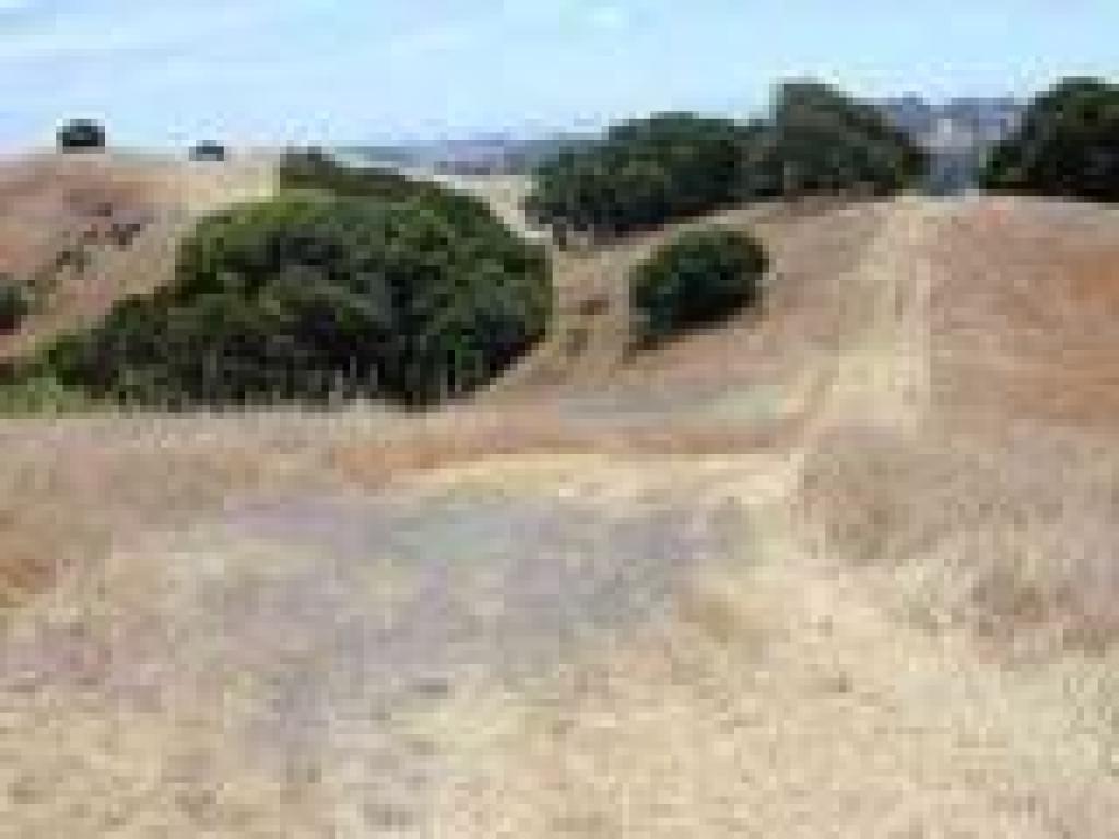 Verissimo Hills Trail
