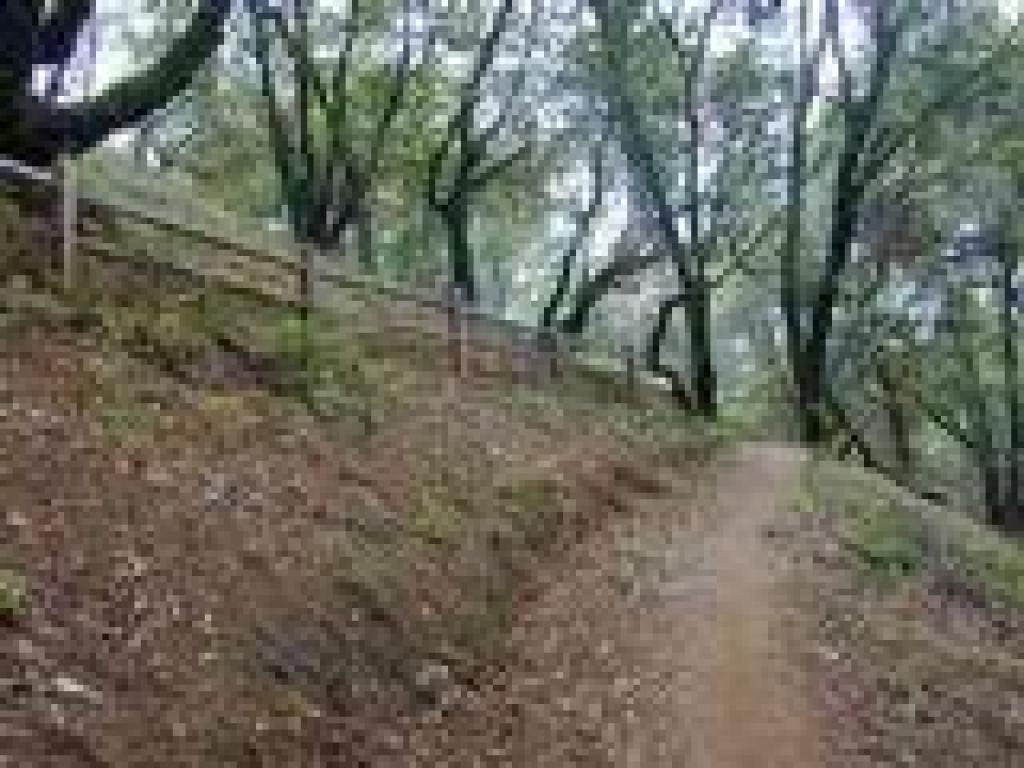 Fences protect switchback