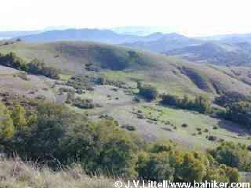 View east from Smith Fire Road
