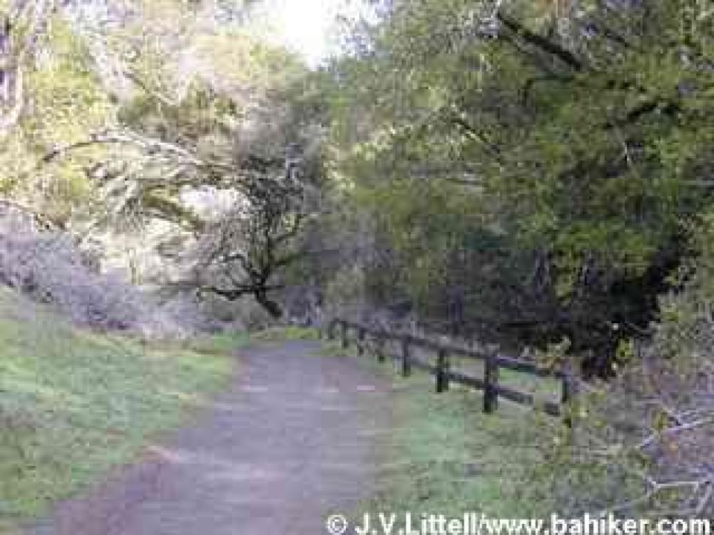 Junction near the end of Old Railroad Grade