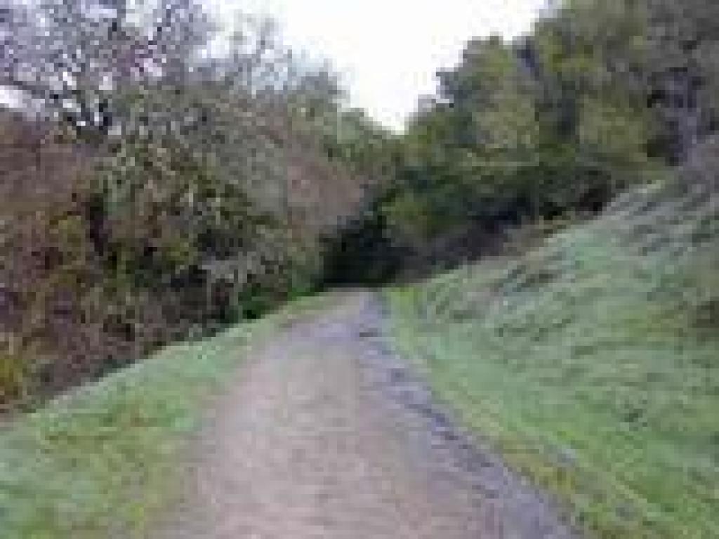 Glen Fire Road