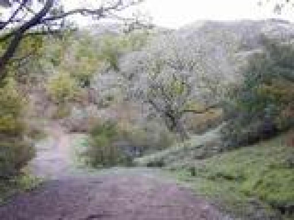 Approaching junction