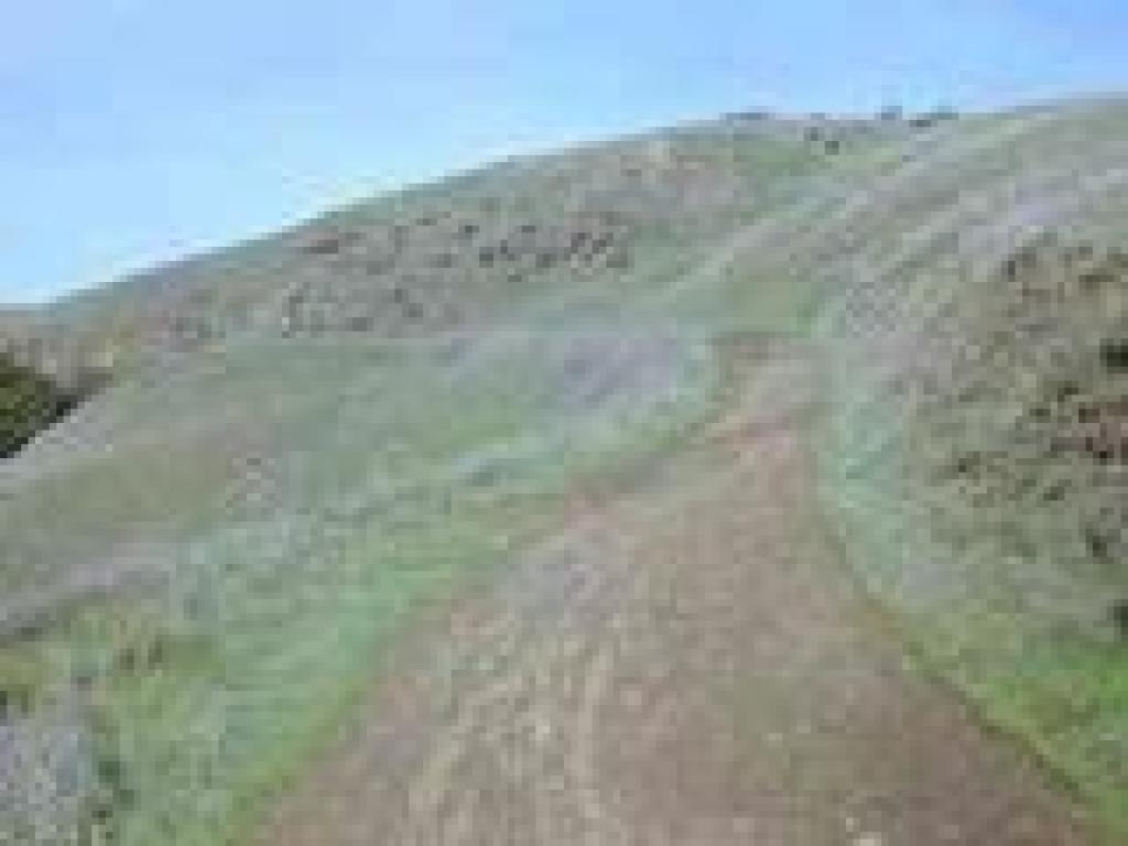 Smith Fire Road
