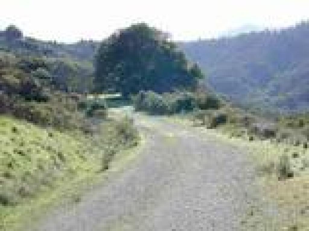 Old Railroad Grade