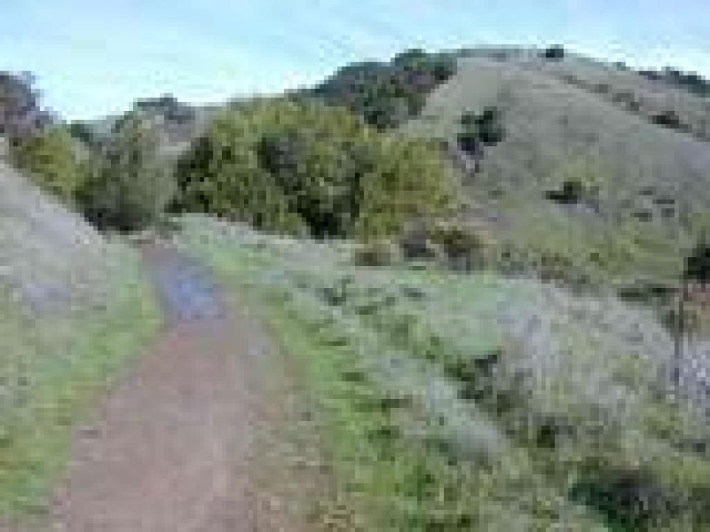 Old Railroad Grade