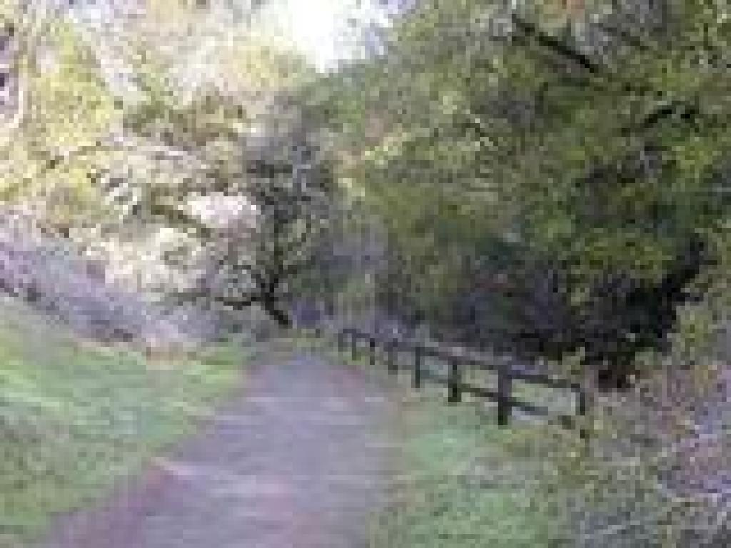 Fence and junction