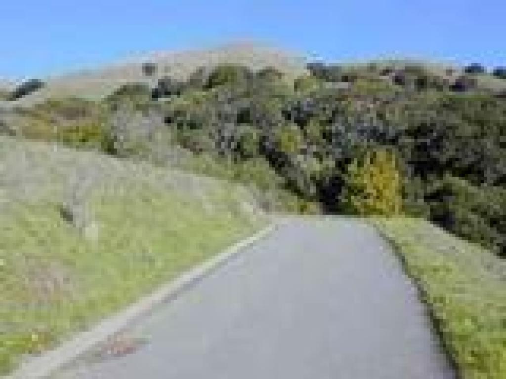 Trail is visible uphill ahead