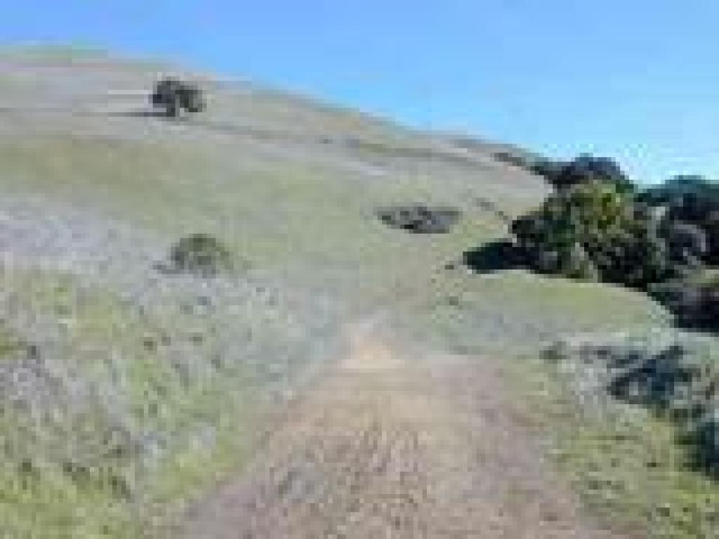 Luiz Fire Road