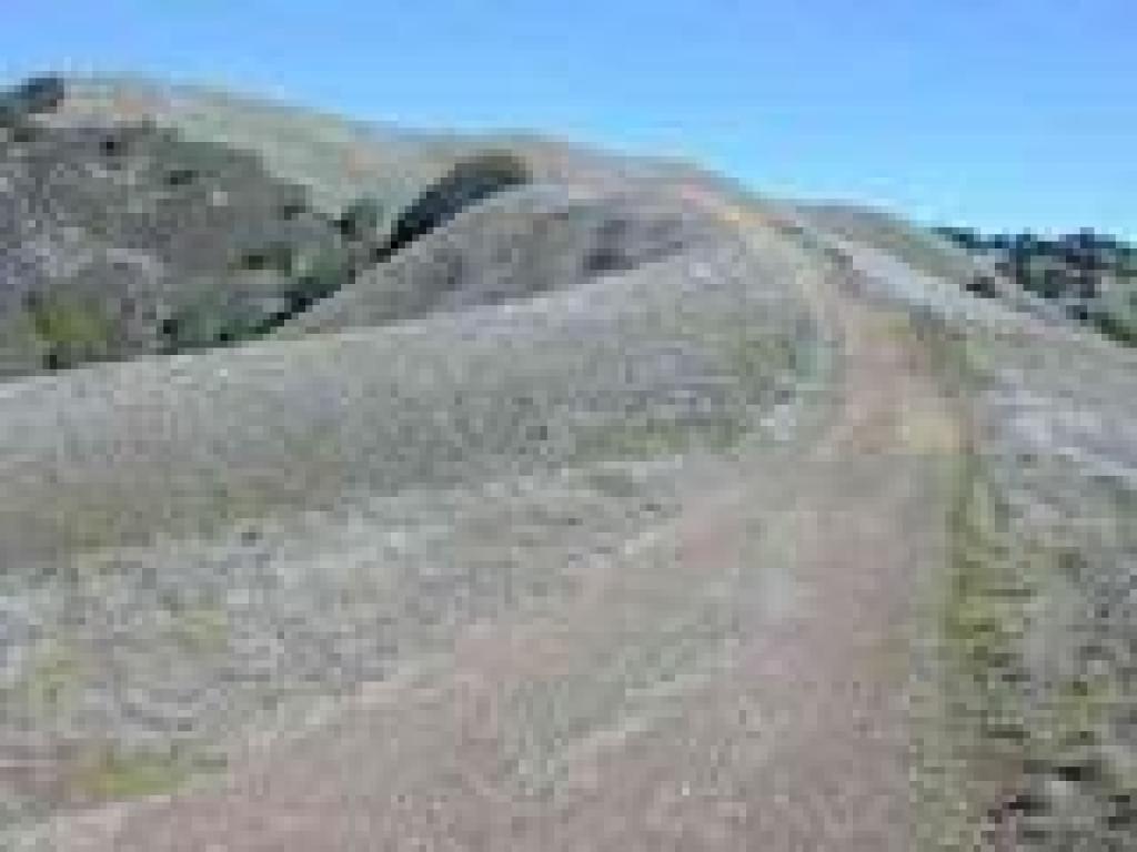 View to the top