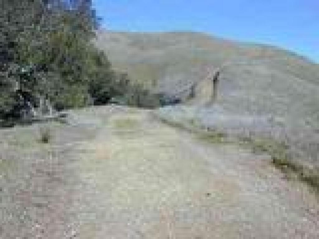 Oaks on the left