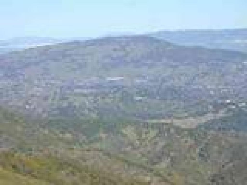 View north