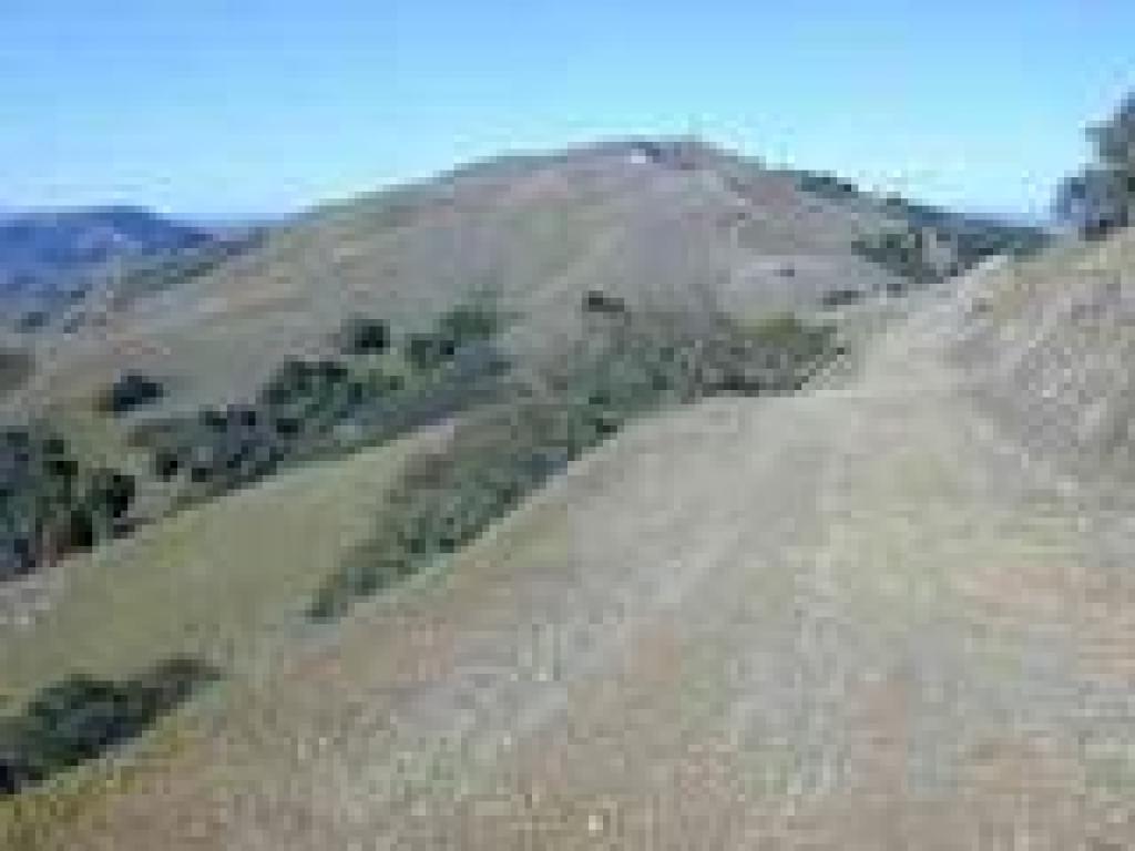 West