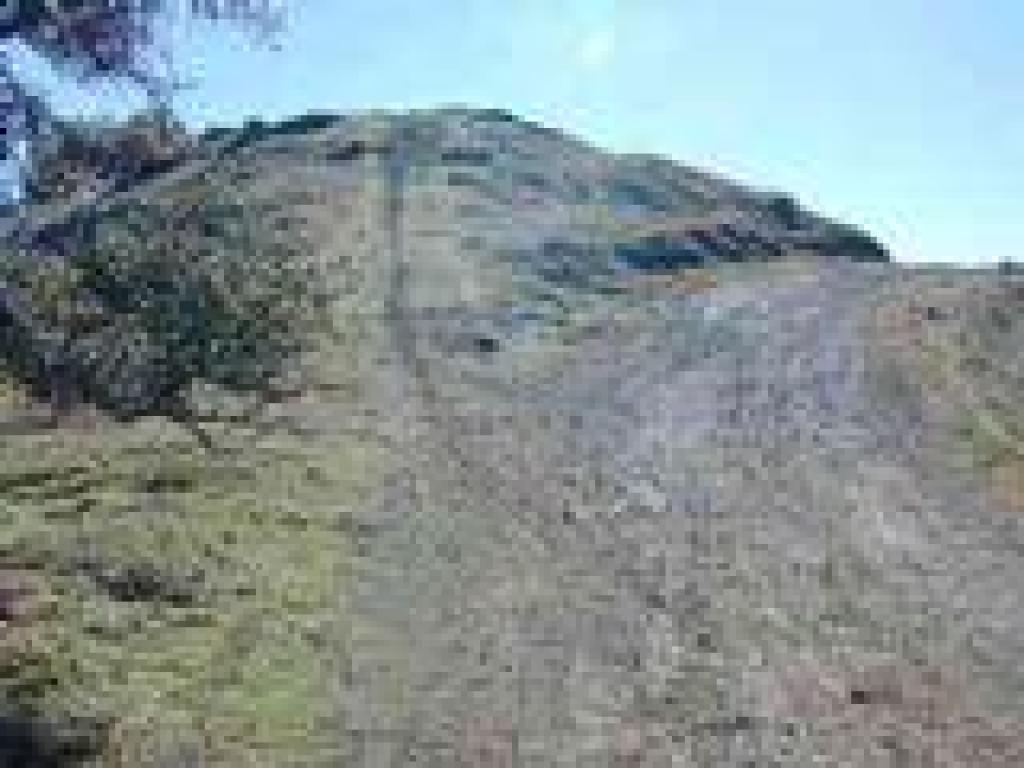 Head back uphill on the path