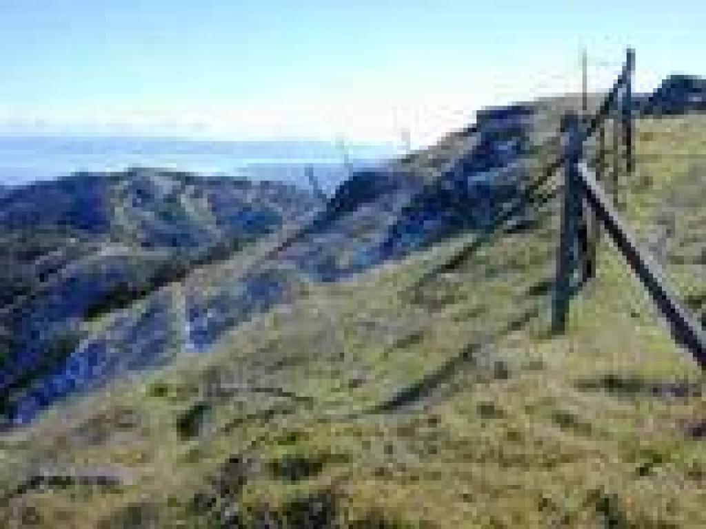 Hillside