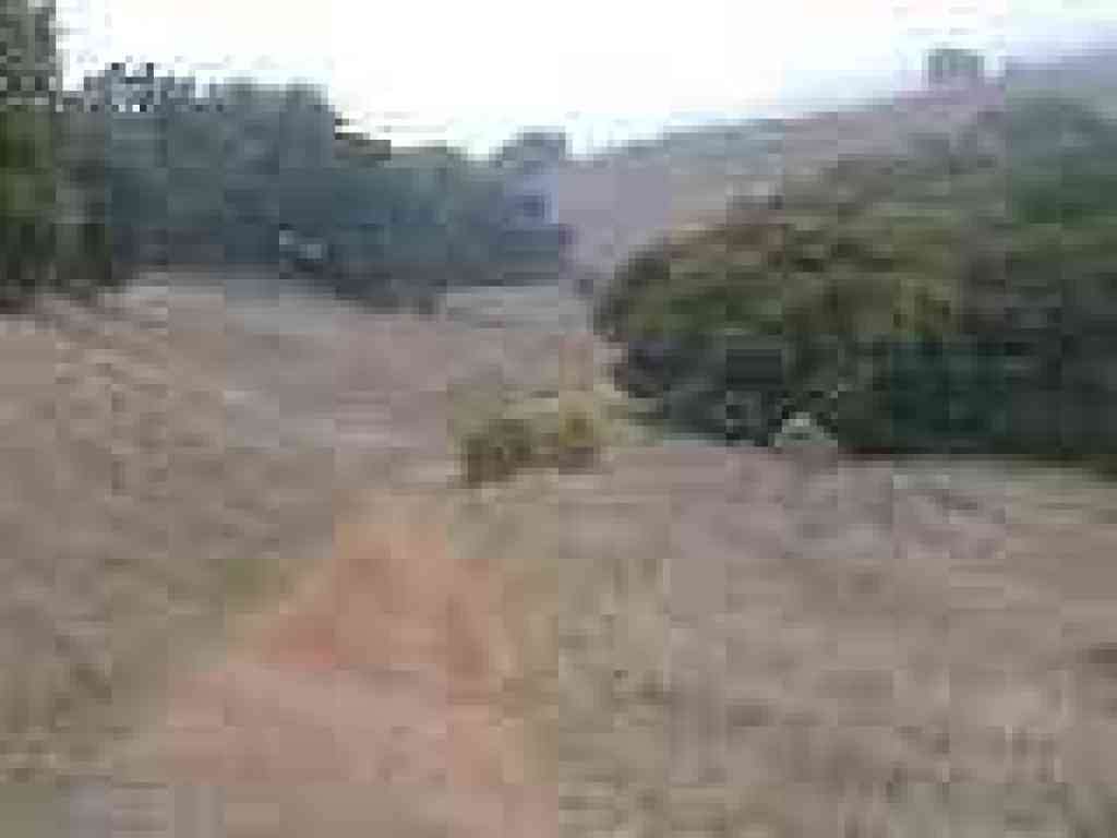Luiz Fire Road