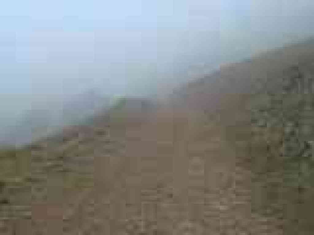 Into the mist